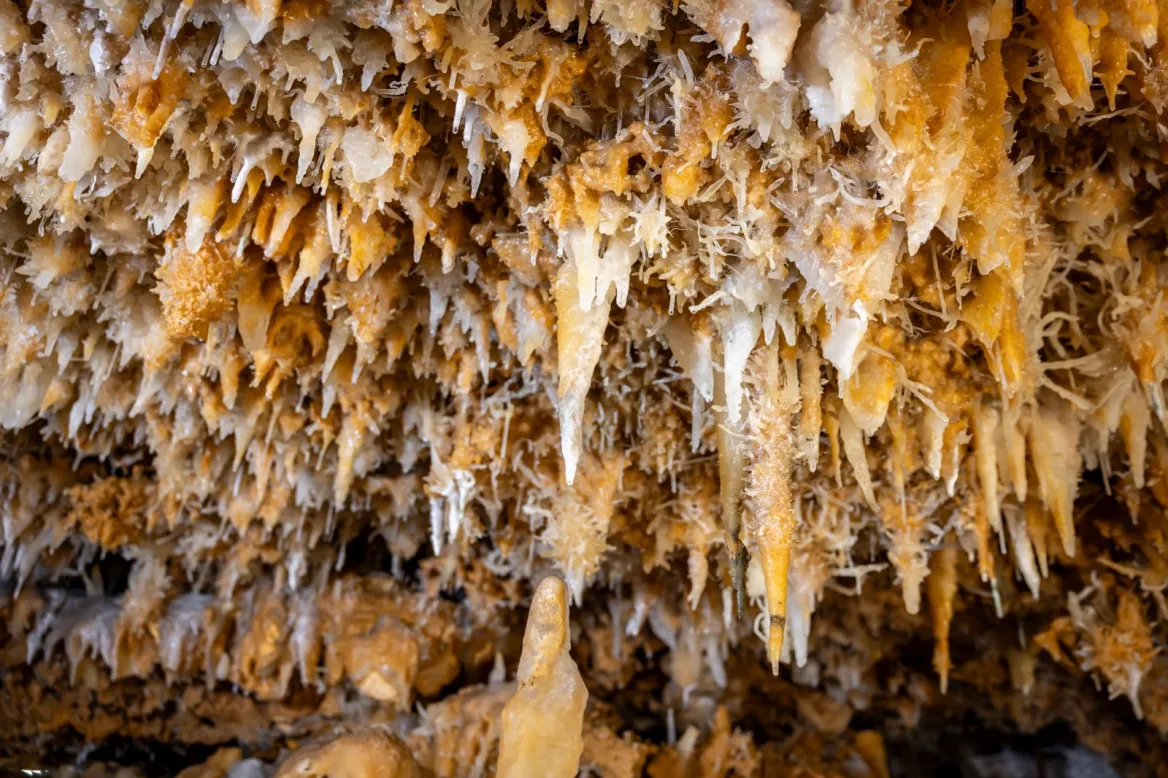 grotte eyzies