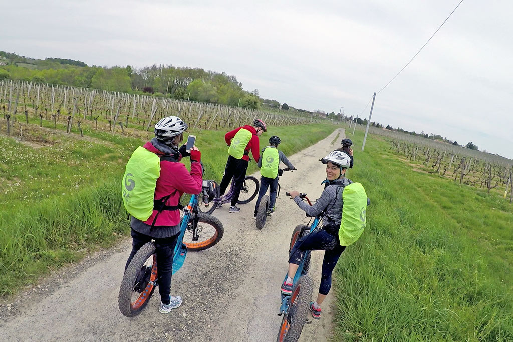 trottinette vinyard