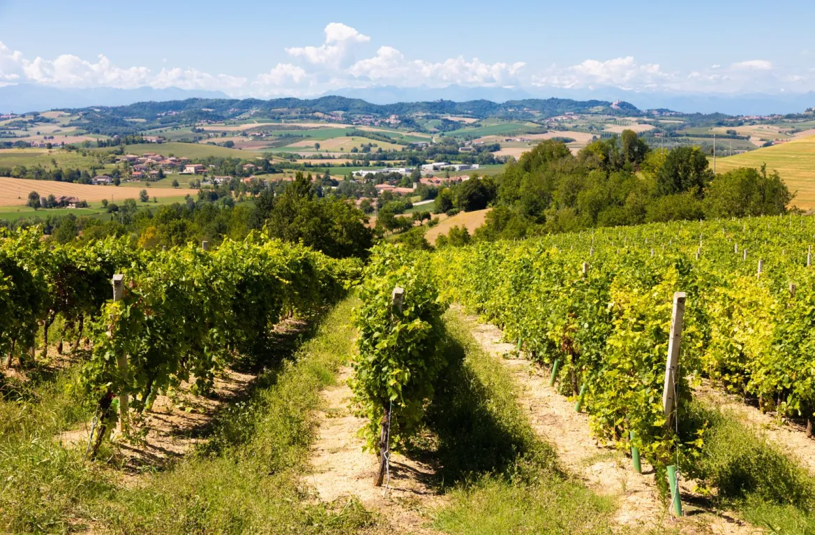 trottinette vines