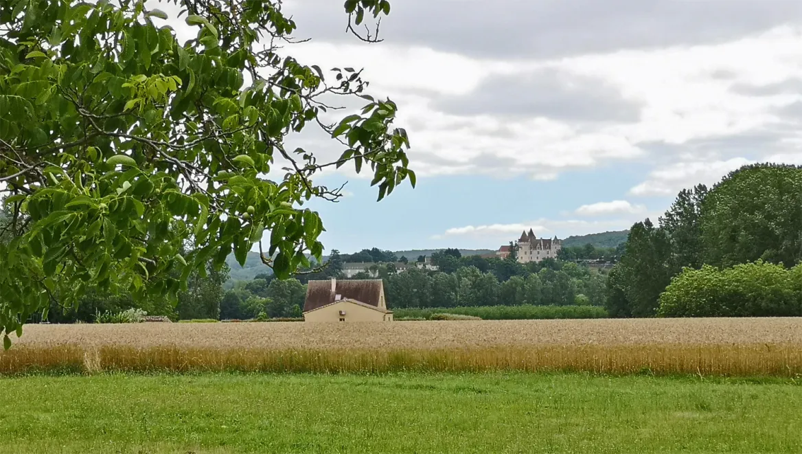 Saint-Vincent-de-Cosse