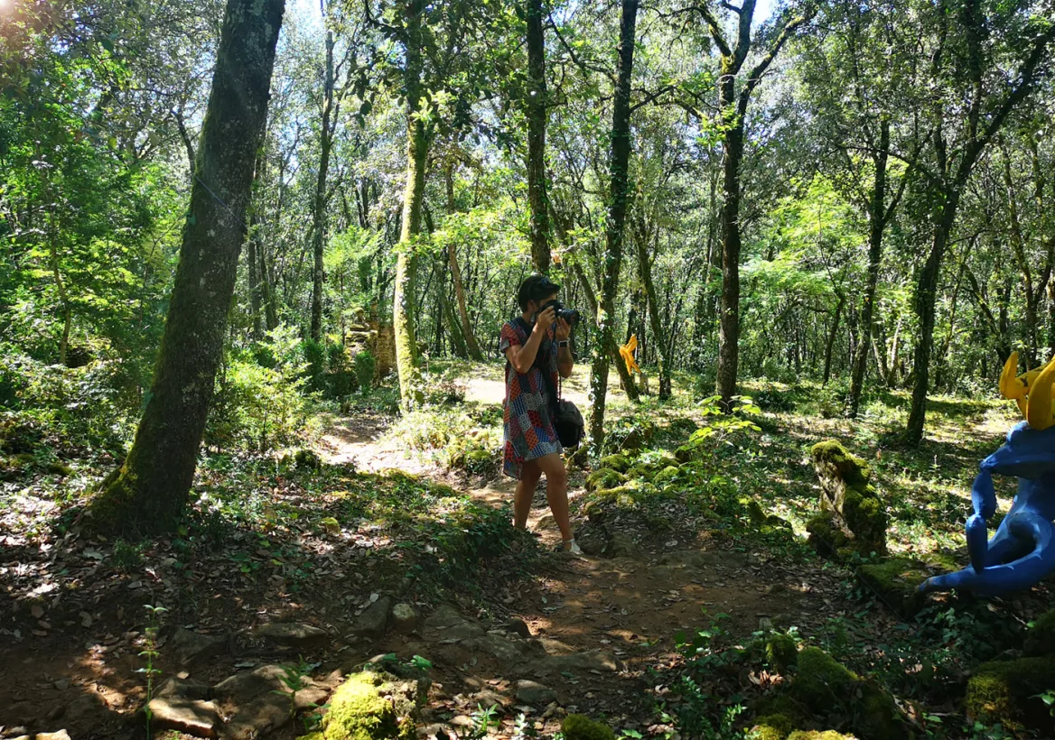 forest