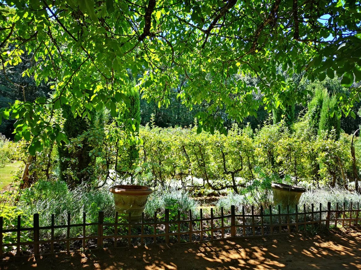 orchards