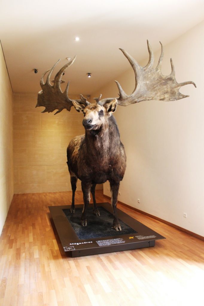 Musée National de la Préhistoire