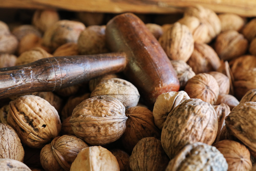 Perigord walnuts