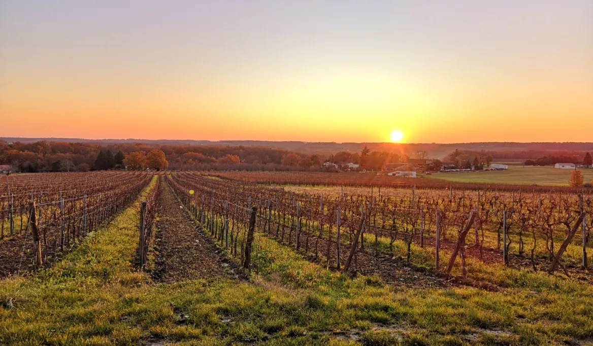 Randonnée en Périgord Pourpre