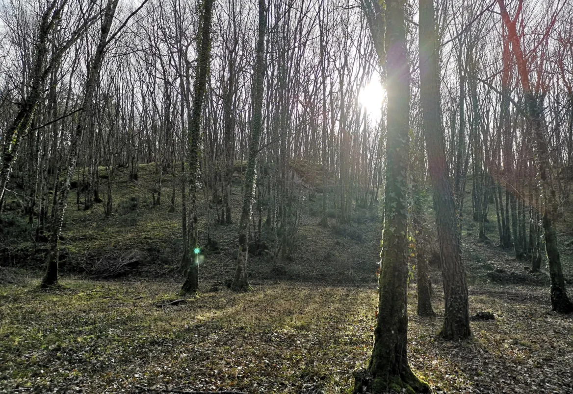 Etangs de Valojoulx