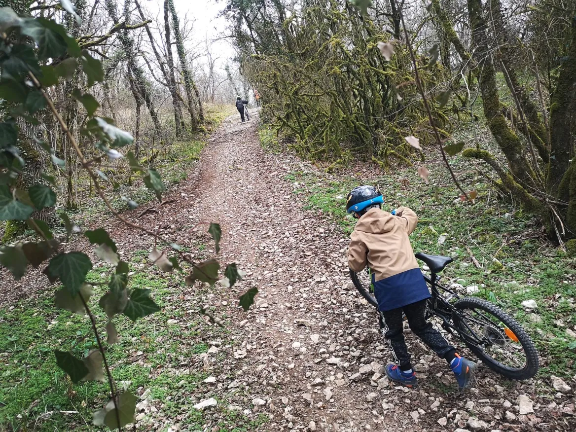 Mountain bike ride Condat-sur-Vézère
