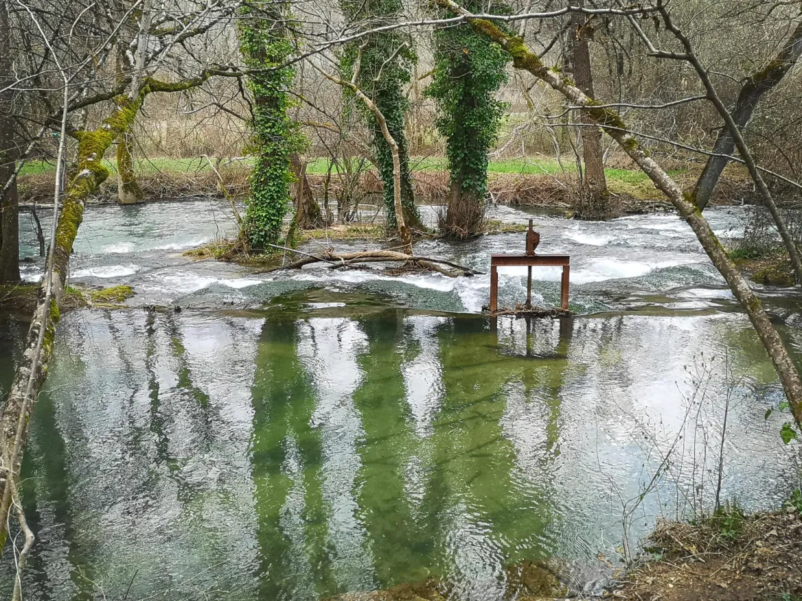 The Coly