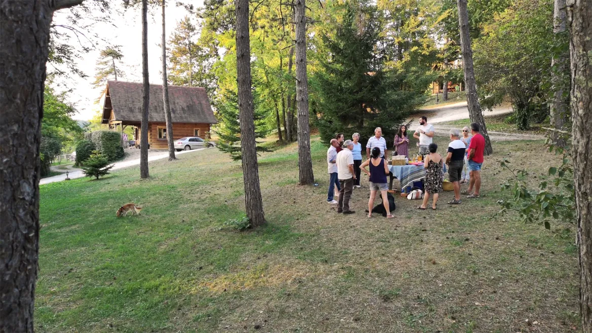 Apérod ans la pinède
