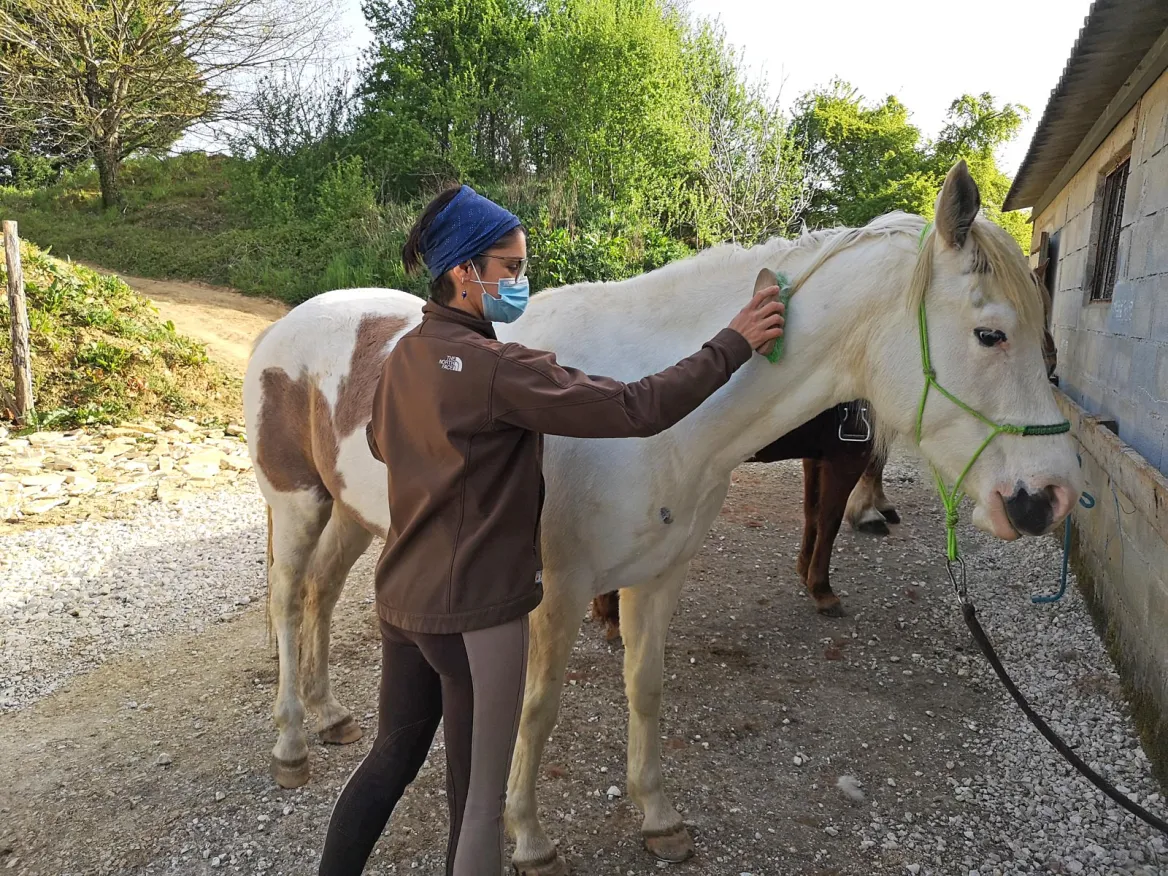 Take a horseback ride in Saint-Amand-de-Coly