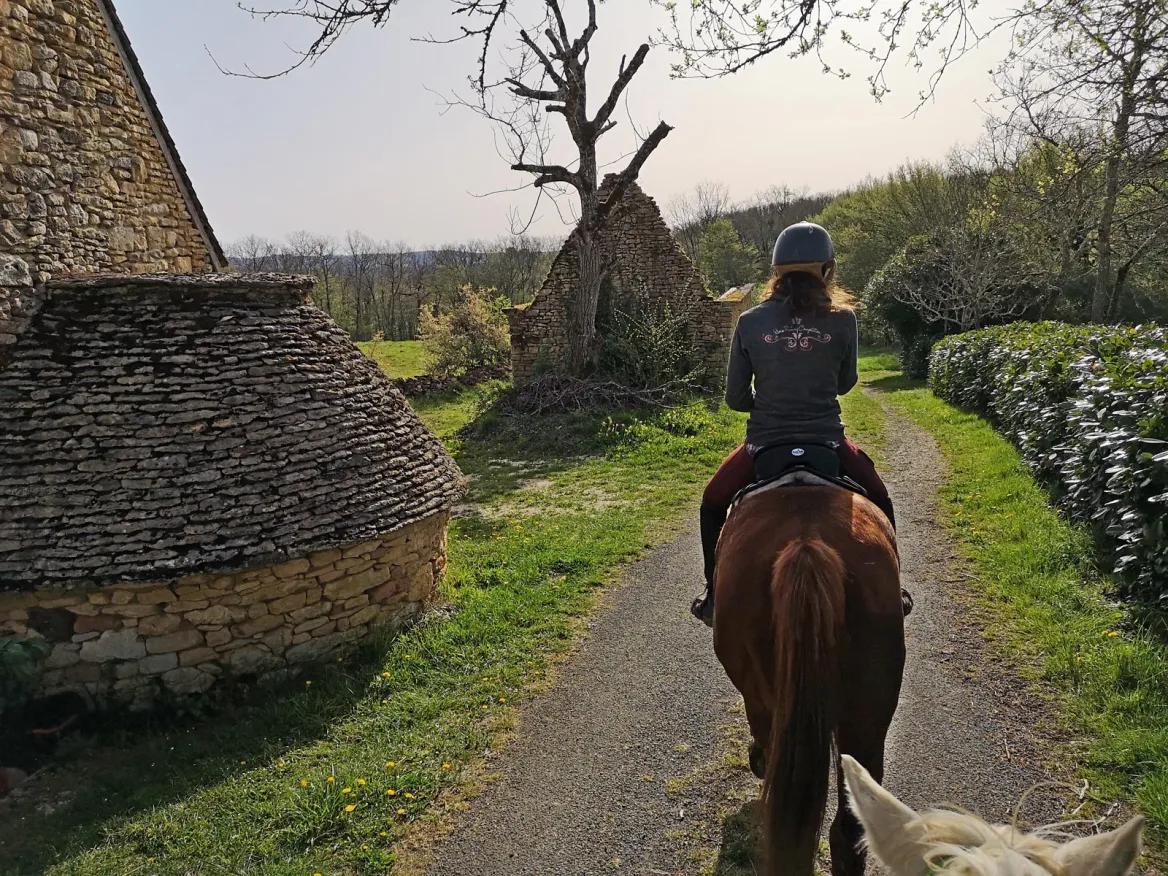 Black Périgord horse ride