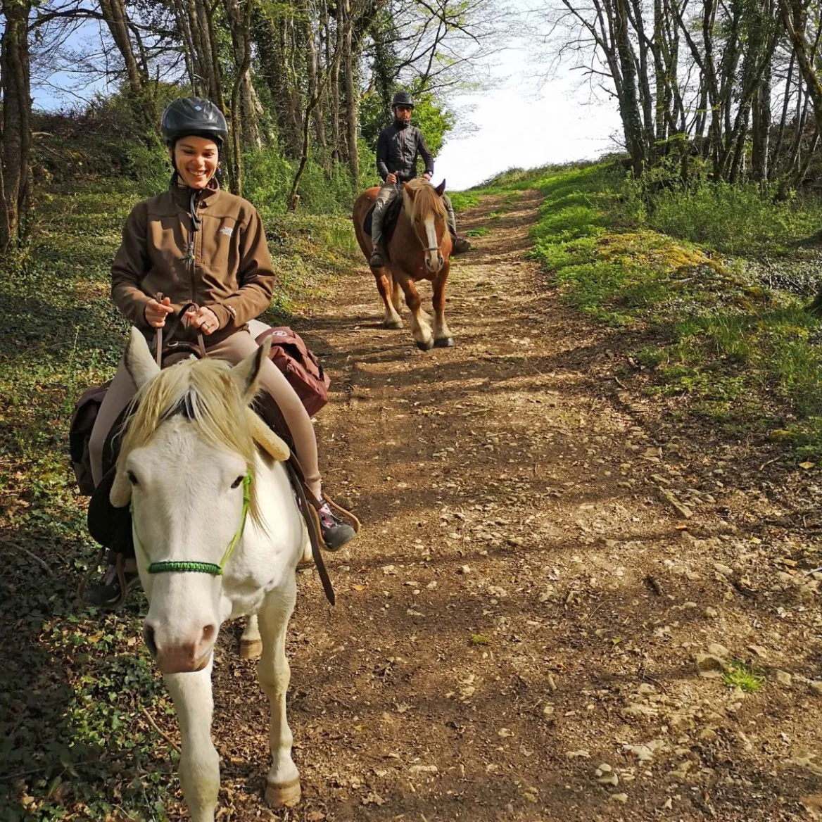 Black Périgord horse ride
