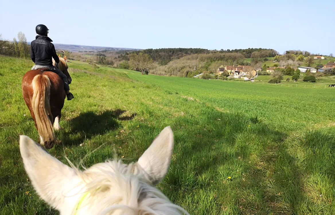 Black Périgord horse ride