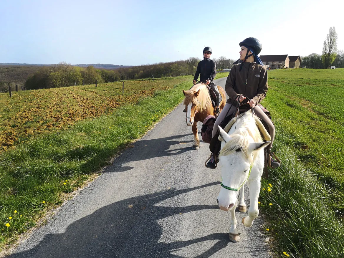 Horse in Périgord