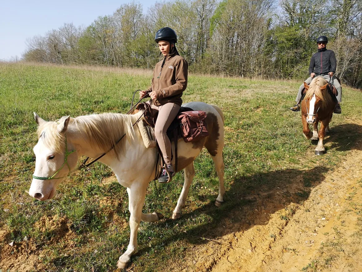Black Périgord horse ride