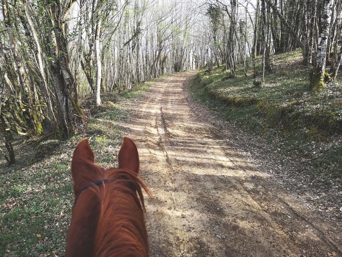 Dordogne horse ride