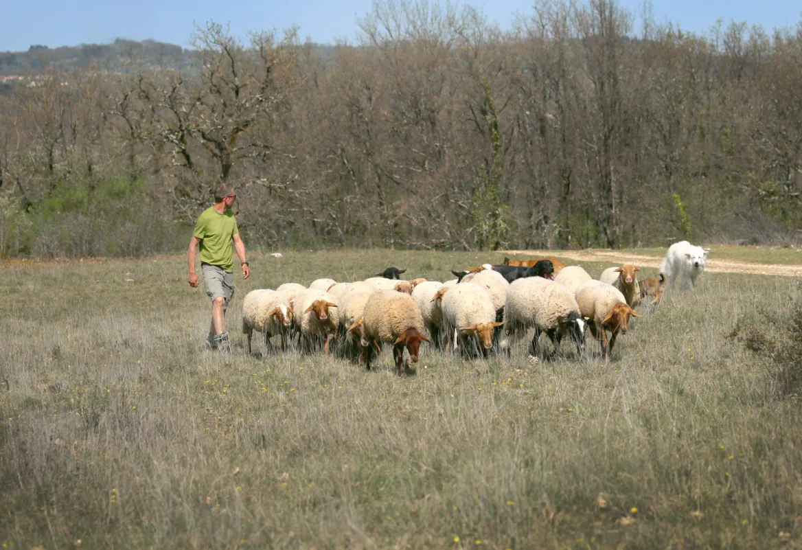 Christophe Echapée Pastorale
