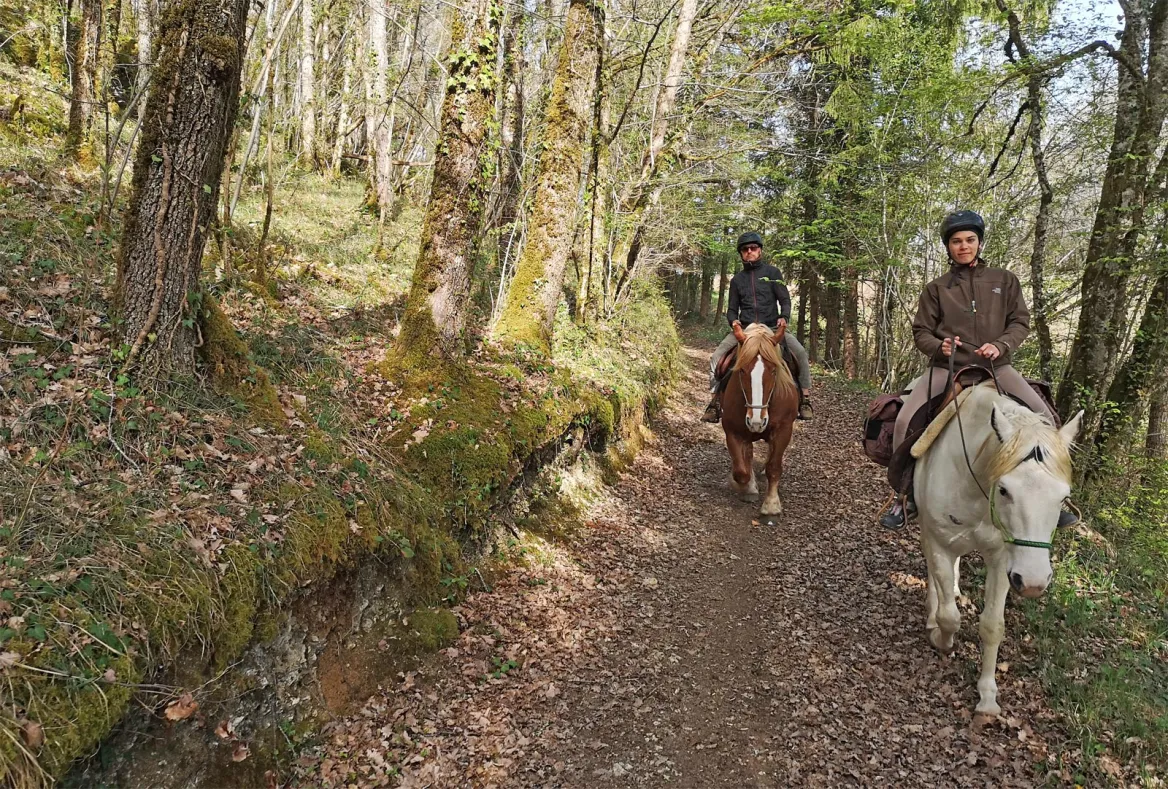 Balade à Cheval en Périgord