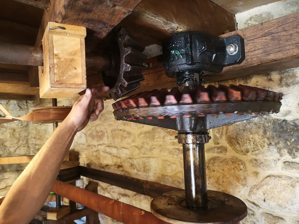 Moulin du Trel gear