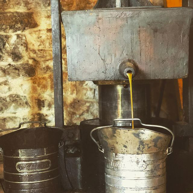 Walnut oil drips