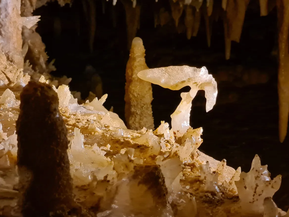 Calcite whale tail Grotte du Grand Roc