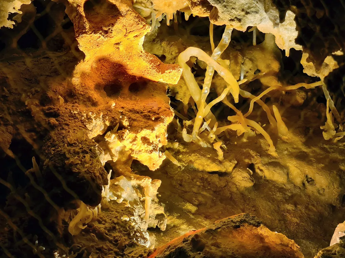 Grotte du Grand Roc concretions