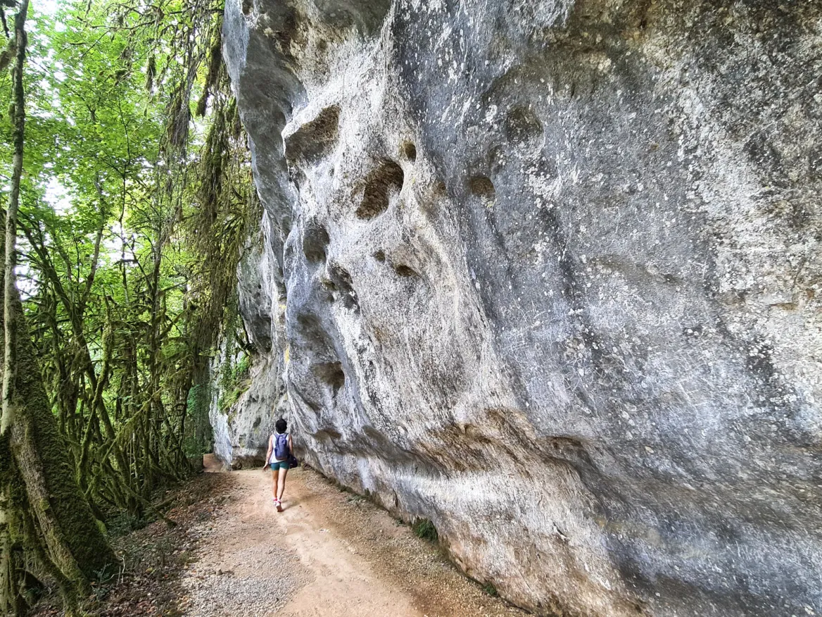 The Conquil