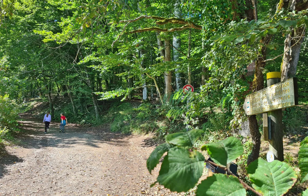 Marked path for hiking