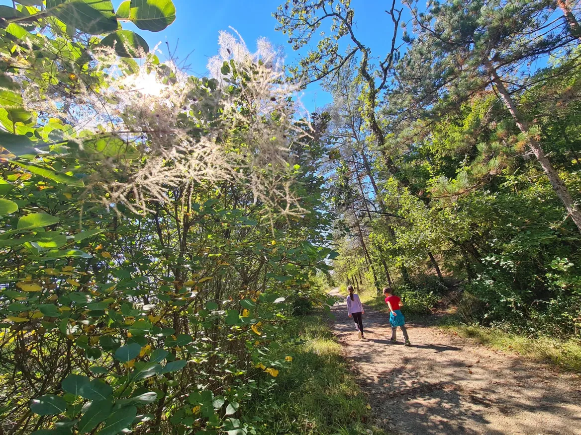 CRAPA Trélissac hike