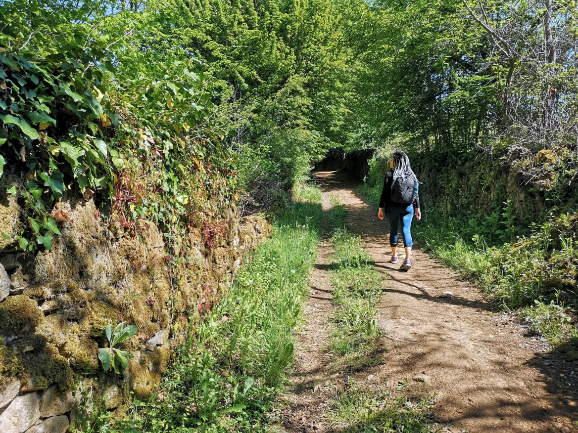 Path going up to Vitrac