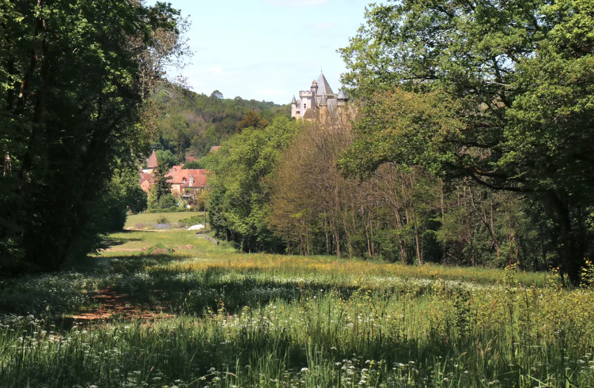 View of the clearing