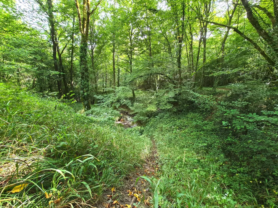 Greenway from Thiviers to Saint-Pardoux-la-Rivière