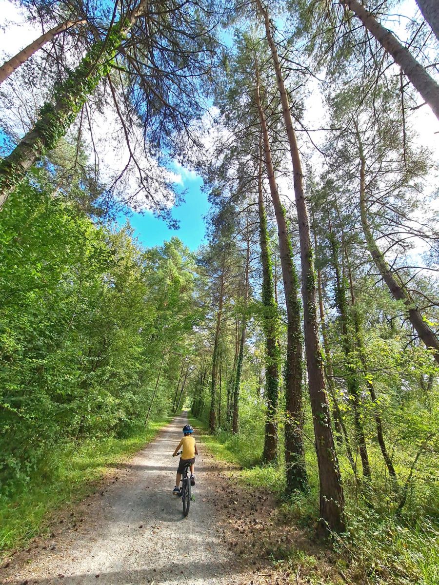 Greenway from Thiviers to Saint-Pardoux-la-Rivière