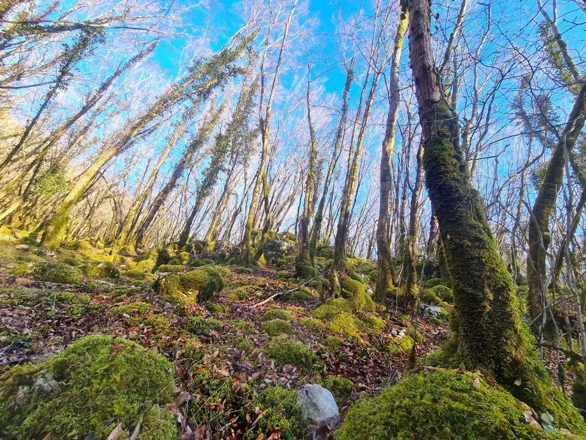 Randonnée à Cubjac