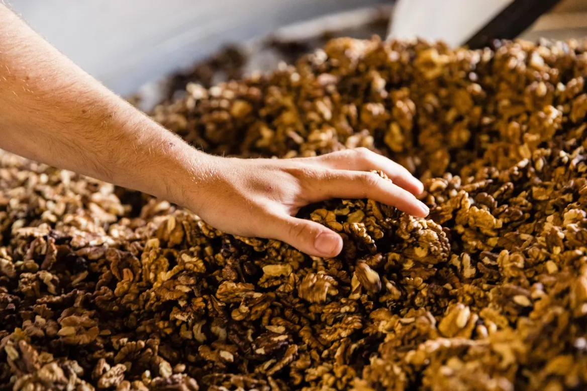 Walnuts from Périgord