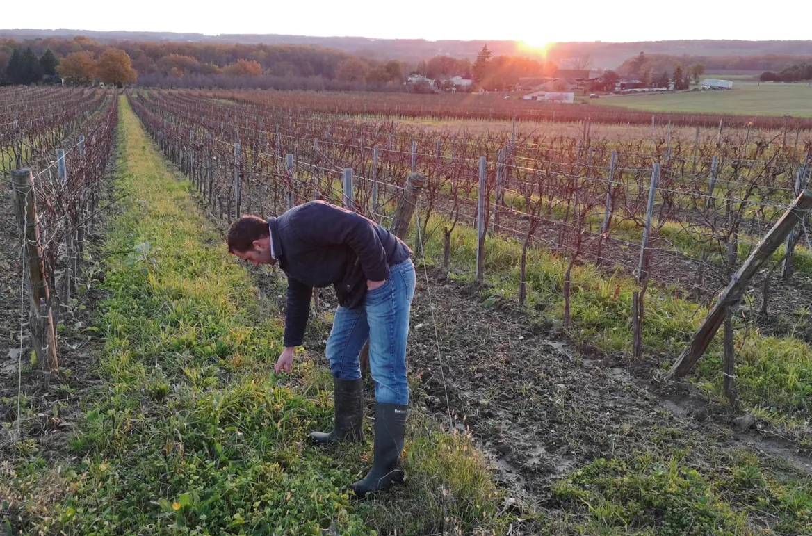Découvrez des vins respectueux de l’environnement dans le vignoble de Bergerac Duras