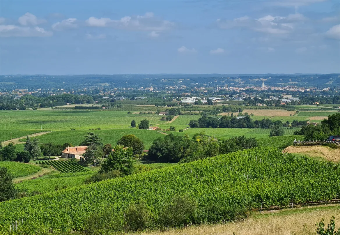 The undulating wine-growing hills of Bergerac - Photo © Guide du Périgord