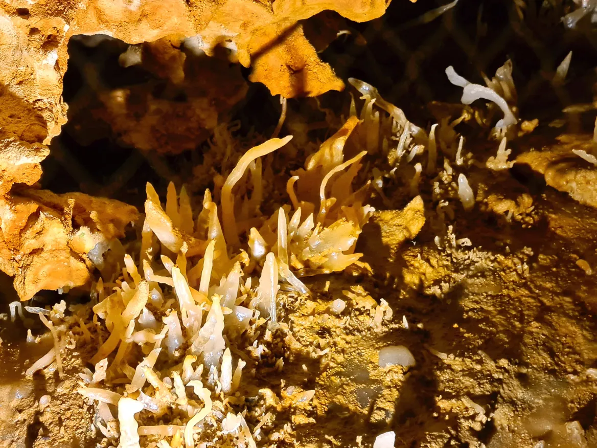 Grotte du Grand Roc