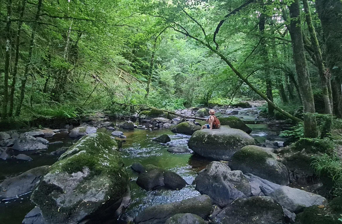Le Saut du Chalard