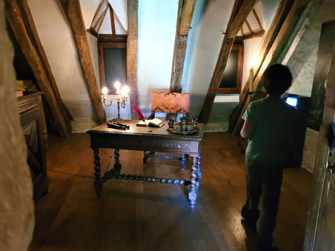 Fantastic Beasts Room Dungeon, Mansion, and Garden