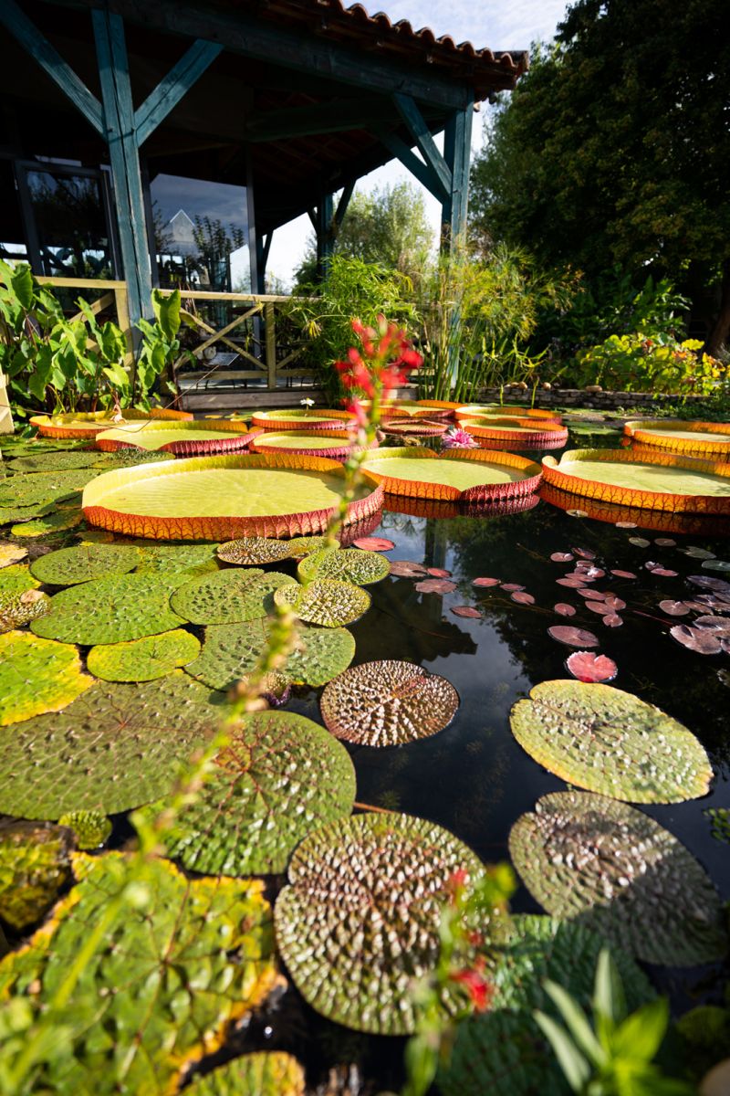 The Water Gardens - Photo Les Coflocs