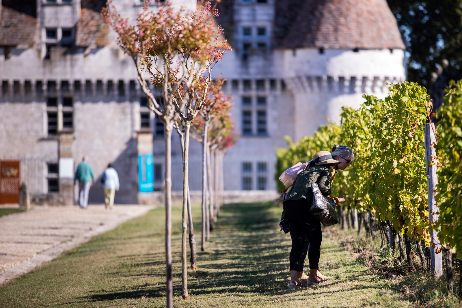Le Château de Monbazillac
