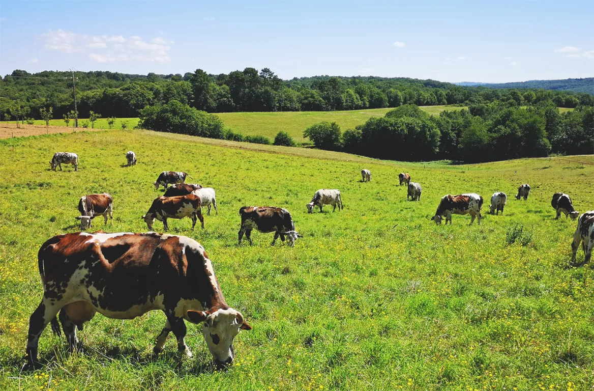 Périgord producers