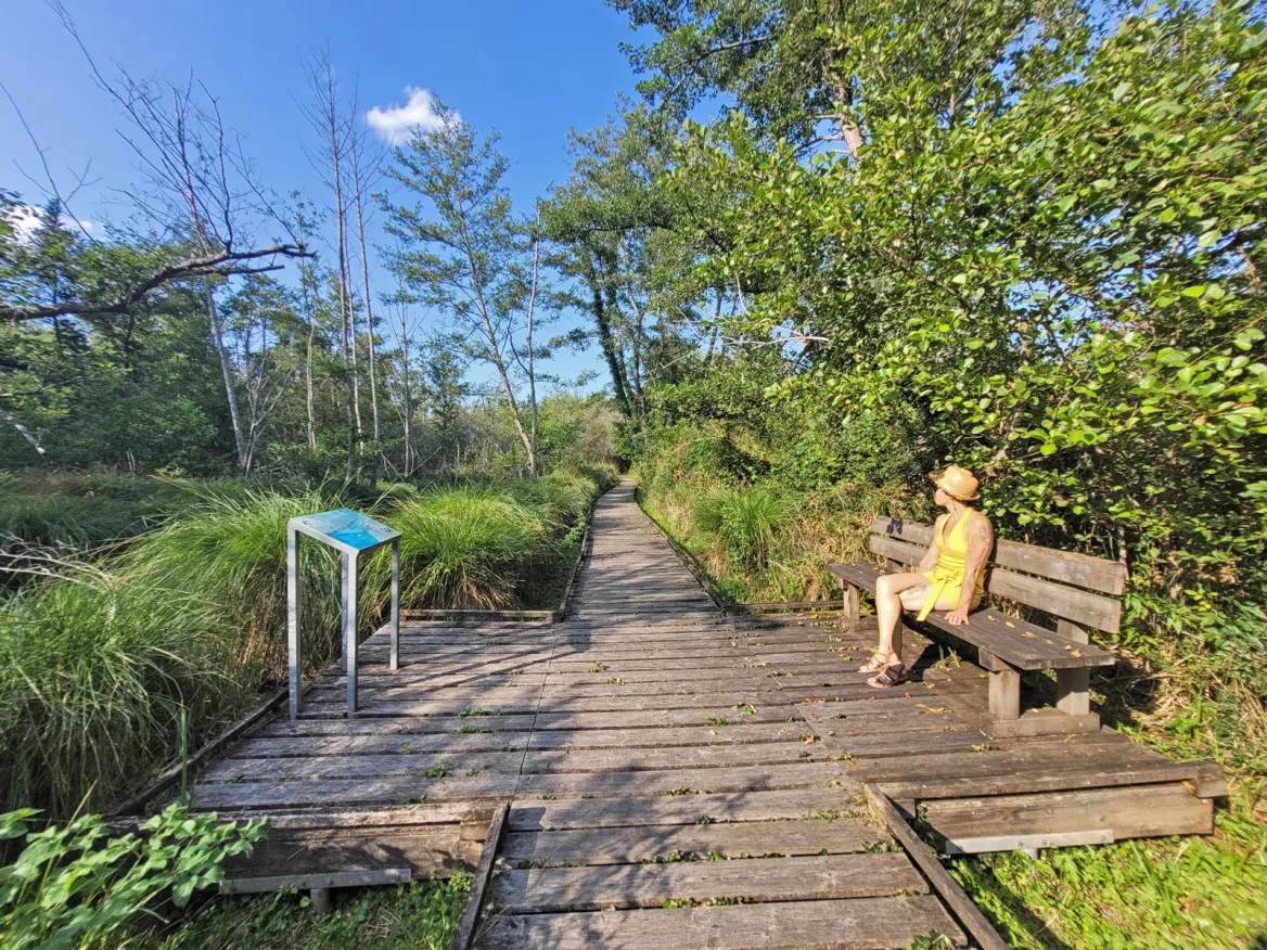 Swamp Trail
