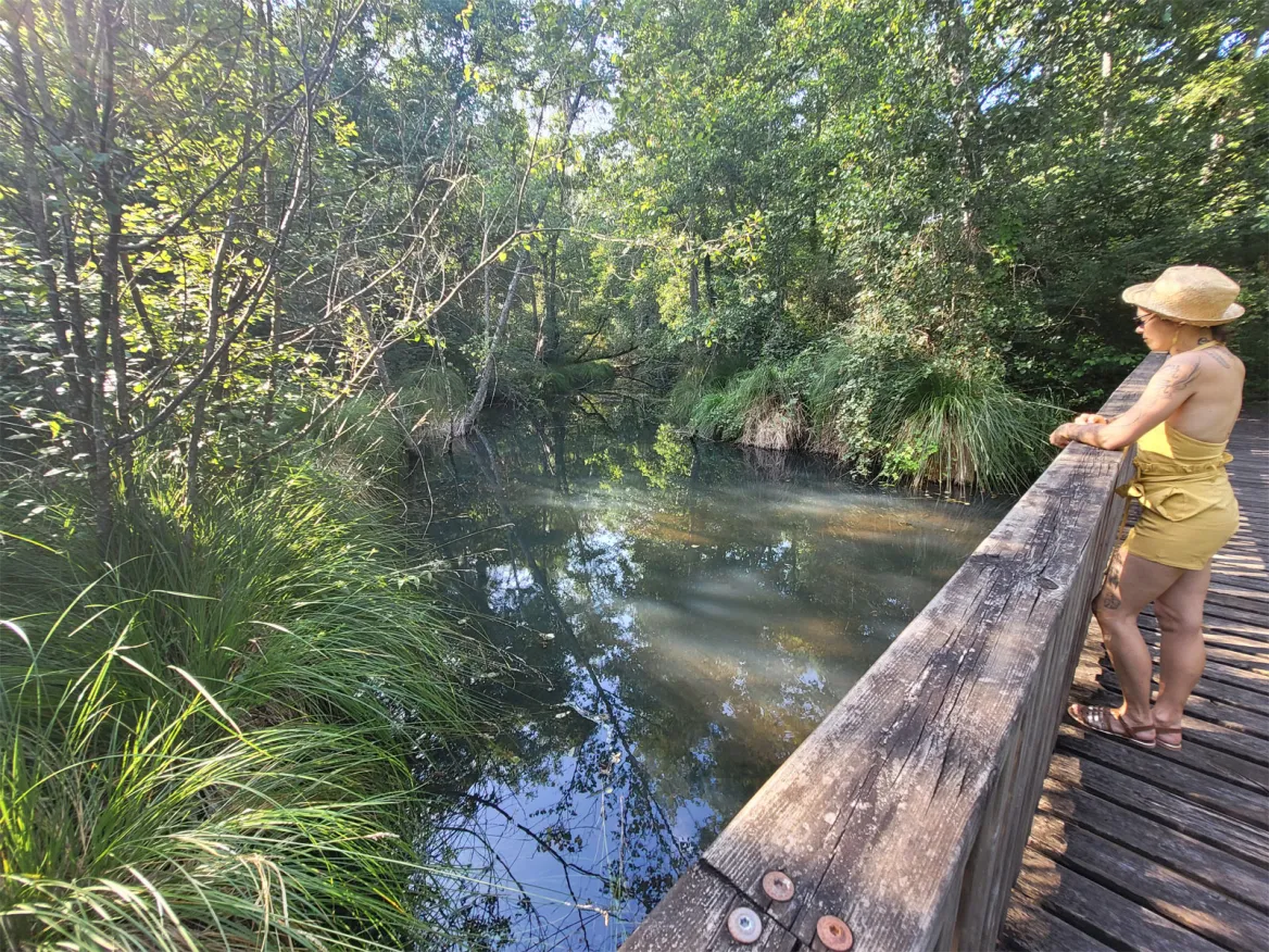 Swamp Trail