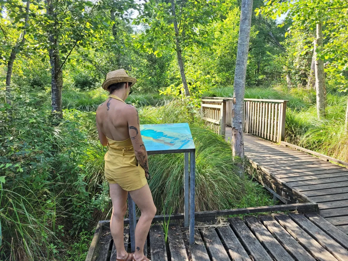 Swamp Trail