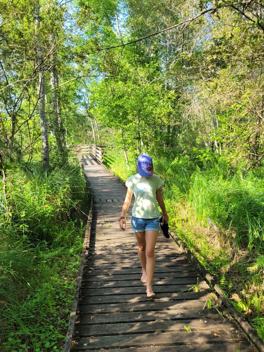 Swamp Trail