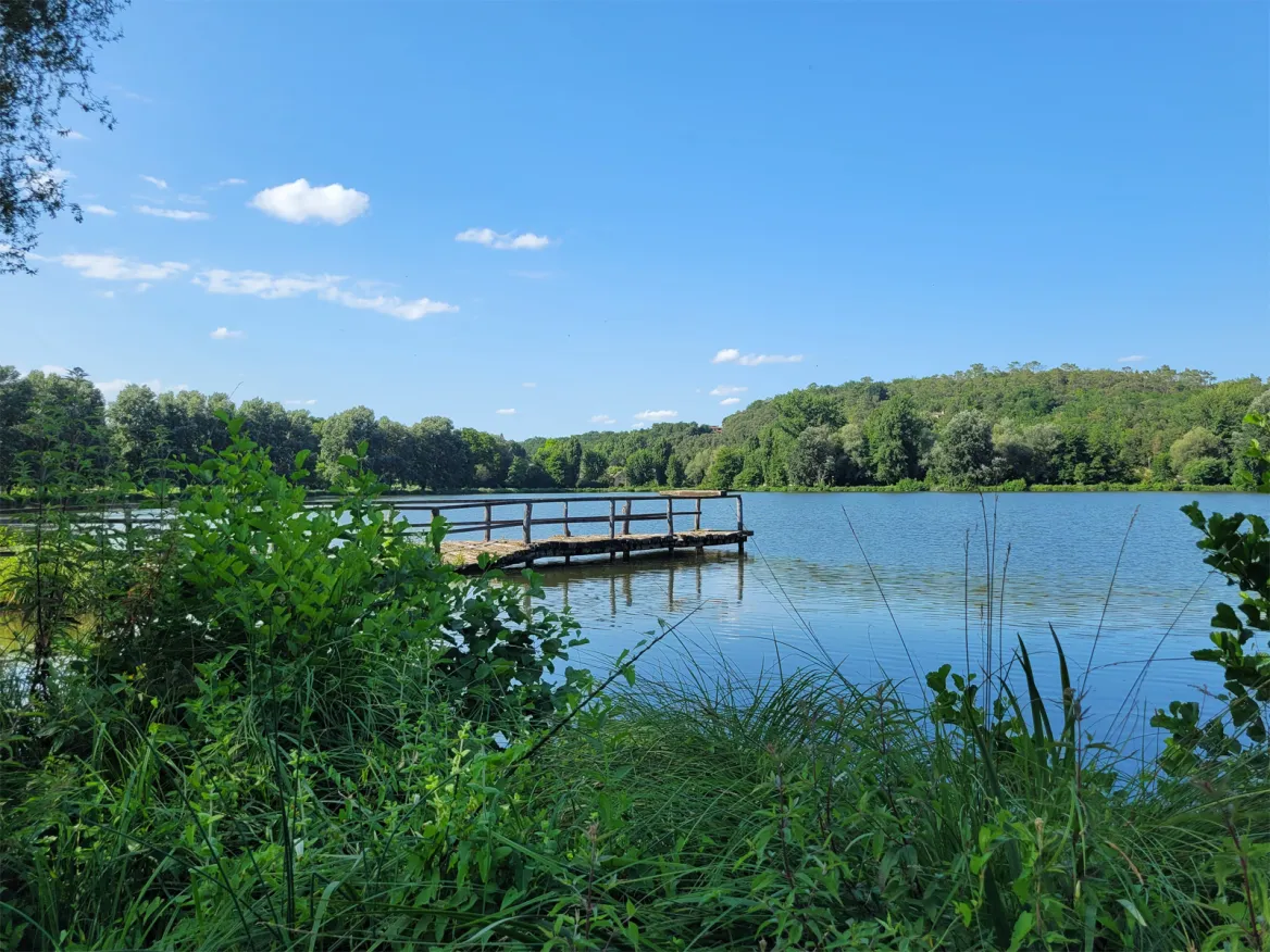 Swamp Trail