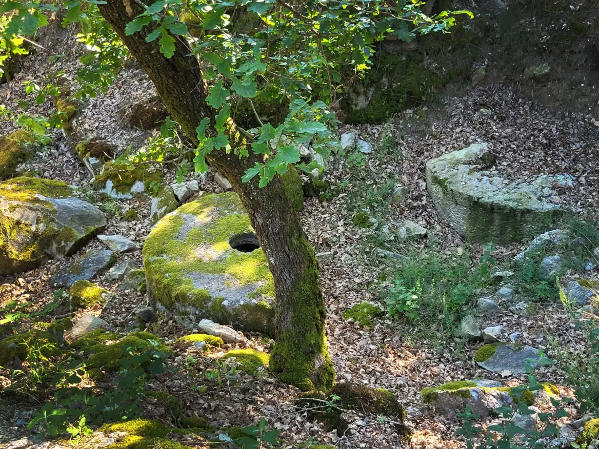The Meulières Trail