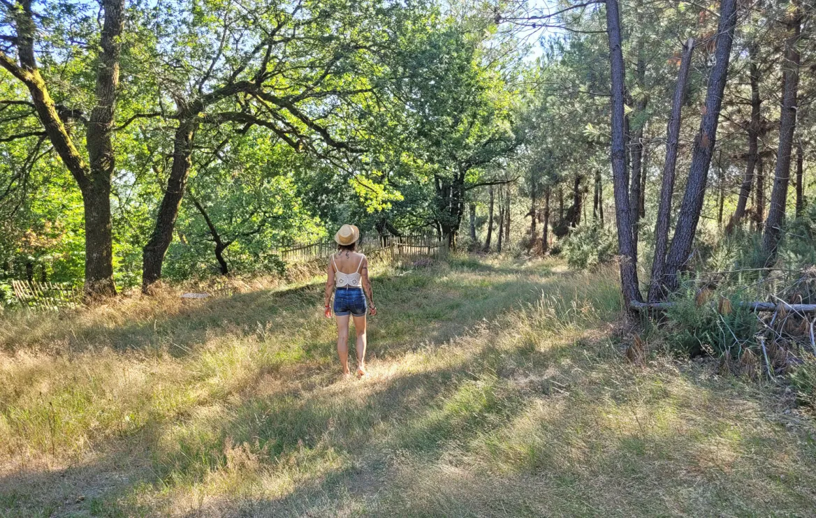 The Meulières Trail